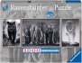 RAVENSBURGER Puzzle Panter, slon a lev 1000 dlk 98x38cm panora