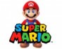 Super Mario - Dandyland
