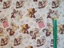 Dtsk poltek Rychl rota Chip a Dale 25x25cm