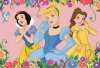 DINO Puzzle Disney Rozkvetl Princezny 48 dlk 26x18cm skldak