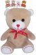 PLY Medvdek s mal 21cm I Love You 4 barvy *PLYOV HRAKY*