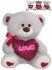 PLY Medvdek se srdkem Love 30cm 3 barvy *PLYOV HRAKY*