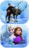 Stntka do auta sada 2 clony na bon sklo Frozen (Ledov Krlo