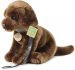 PLYŠ Pes labrador 25cm hnědý s vodítkem Eco-Friendly *PLYŠOVÉ HR