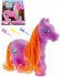 Pony s česací hřívou set plastový barevný koník s doplňky různé