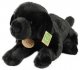 PLYŠ Pes Labrador 40cm černý ležící Eco-Friendly *PLYŠOVÉ HRAČKY