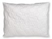 Polt proev PETRA 40x60 350g