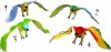 Papoušek barevny pískající gumový (ptáček na zavěšení na gumě)