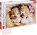 TREFL PUZZLE Foto Spc koata 500 dlk 48x34cm skldaka 13727