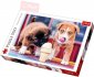 TREFL PUZZLE Foto Pejsci as na zmrzlinu 500 dlk 48x34cm 13727